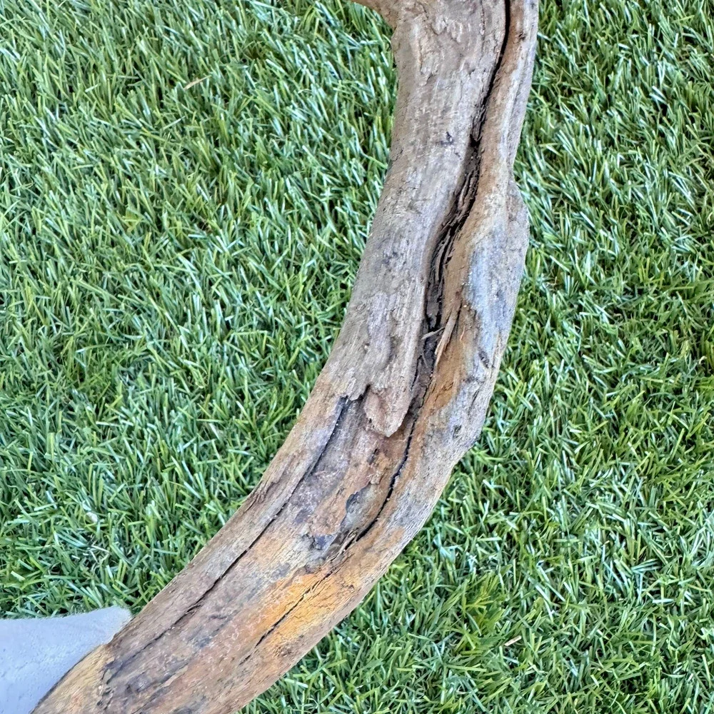 2 Natural Driftwood Branches California Coast Rustic Decor Aquarium Terrarium